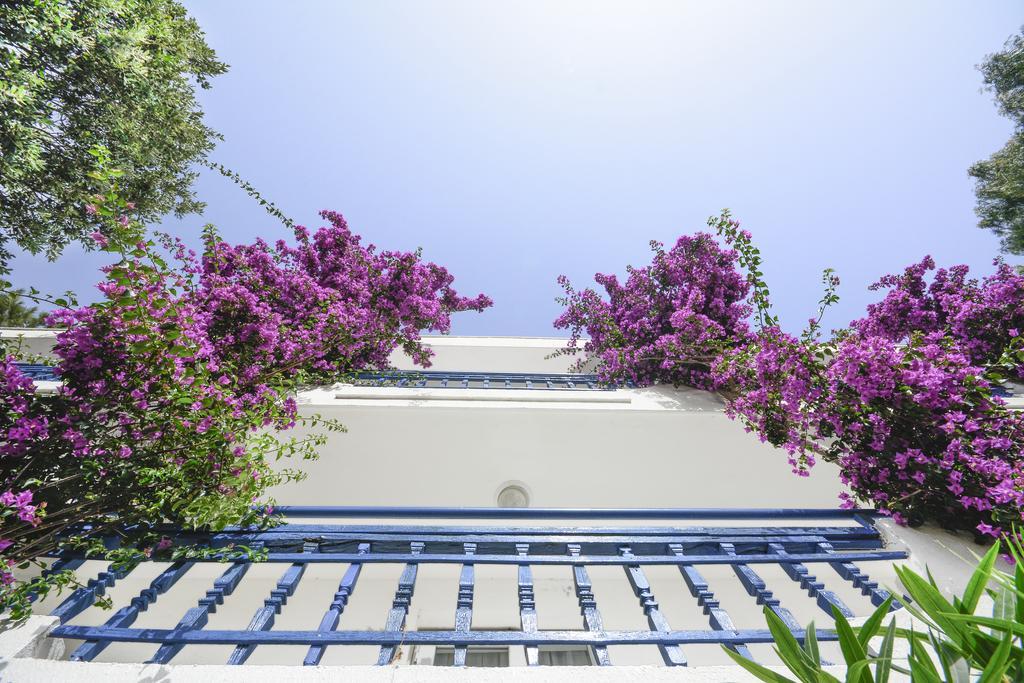 Club Blue White All Inclusive Turgutreis Ngoại thất bức ảnh